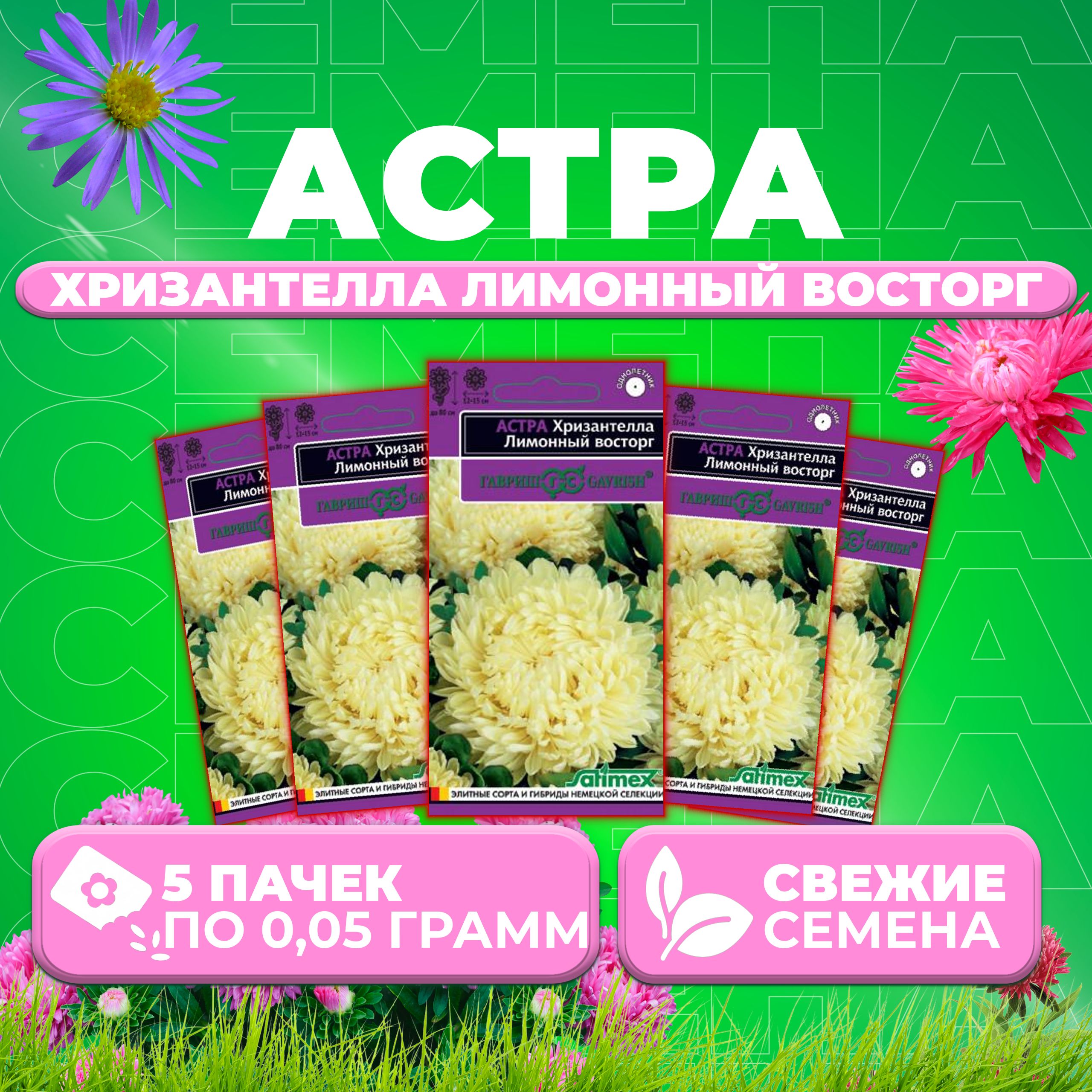 

Семена Астра Хризантелла Лимонный восторг, 0,05г, Гавриш, Satimex (5 уп)