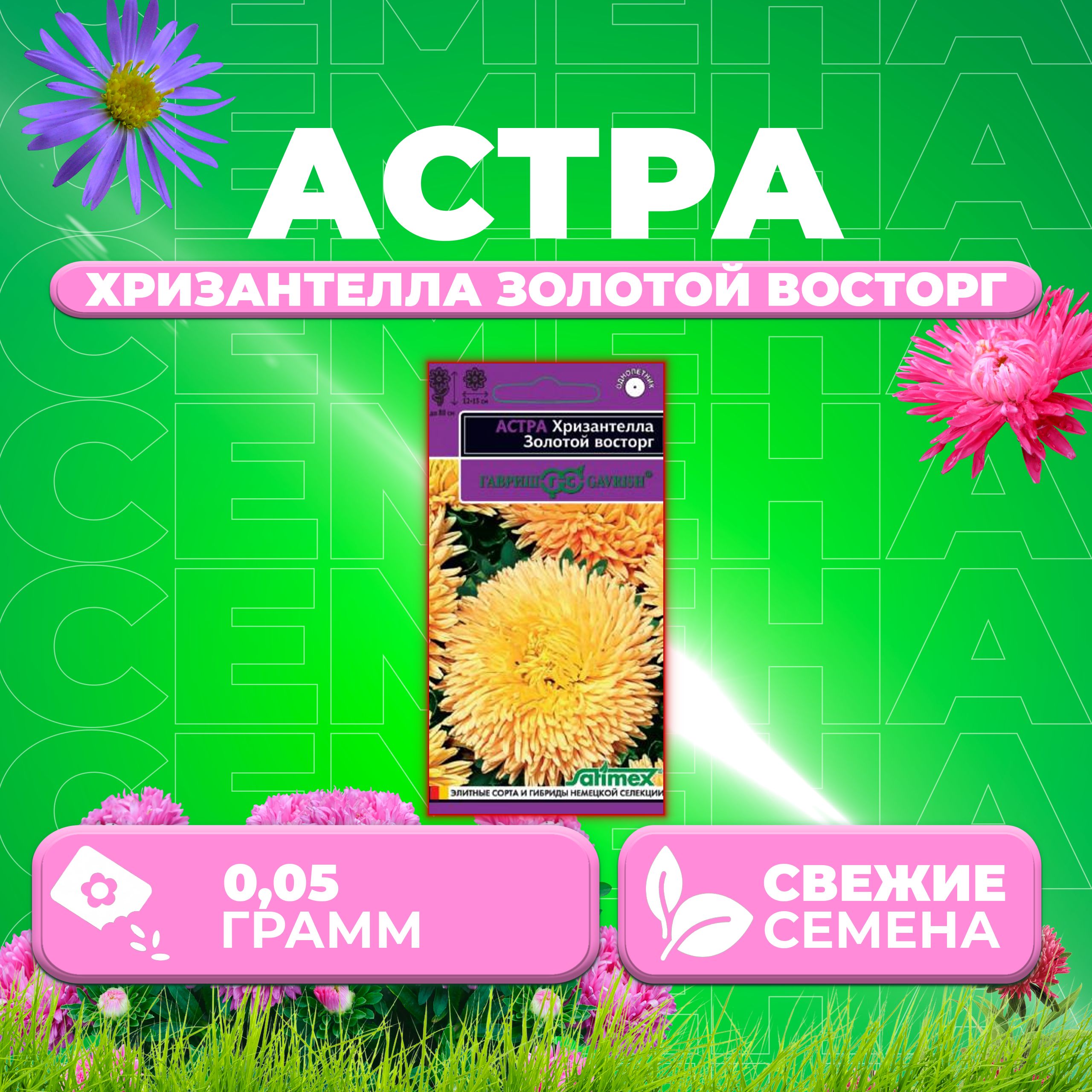 

Семена Астра Хризантелла Золотой восторг, 0,05г, Гавриш, Satimex (1 уп)