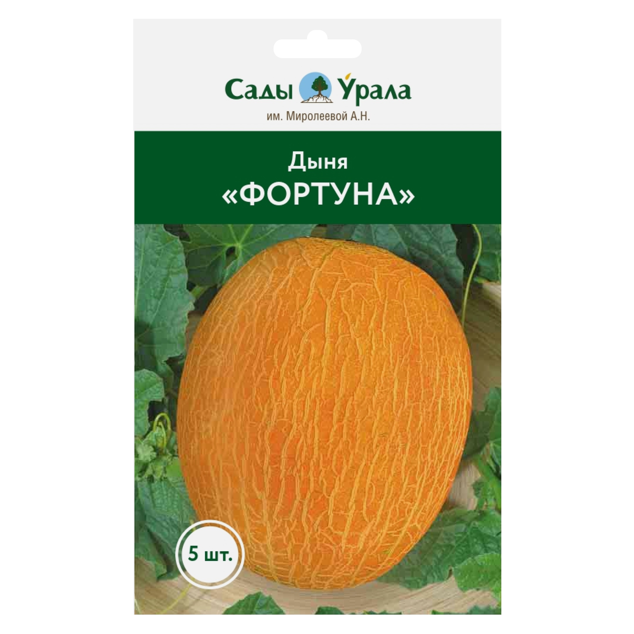 

Семена ягод Дыня Фортуна, Сады Урала, 5 штук, Дыня «Фортуна»