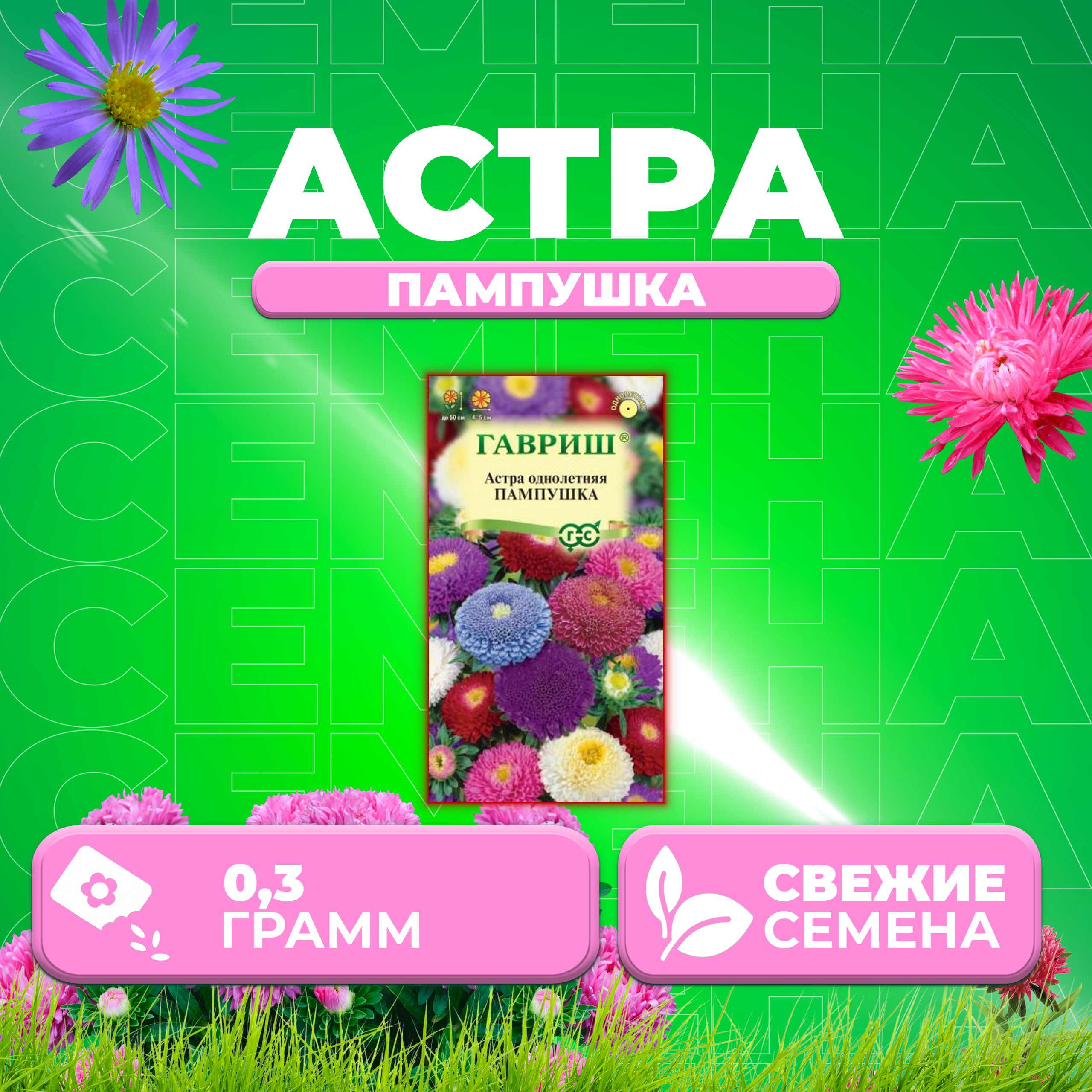 

Семена Астра Пампушка, помпонная, смесь, 0,3г, Гавриш, Цветочная коллекция (1 уп)