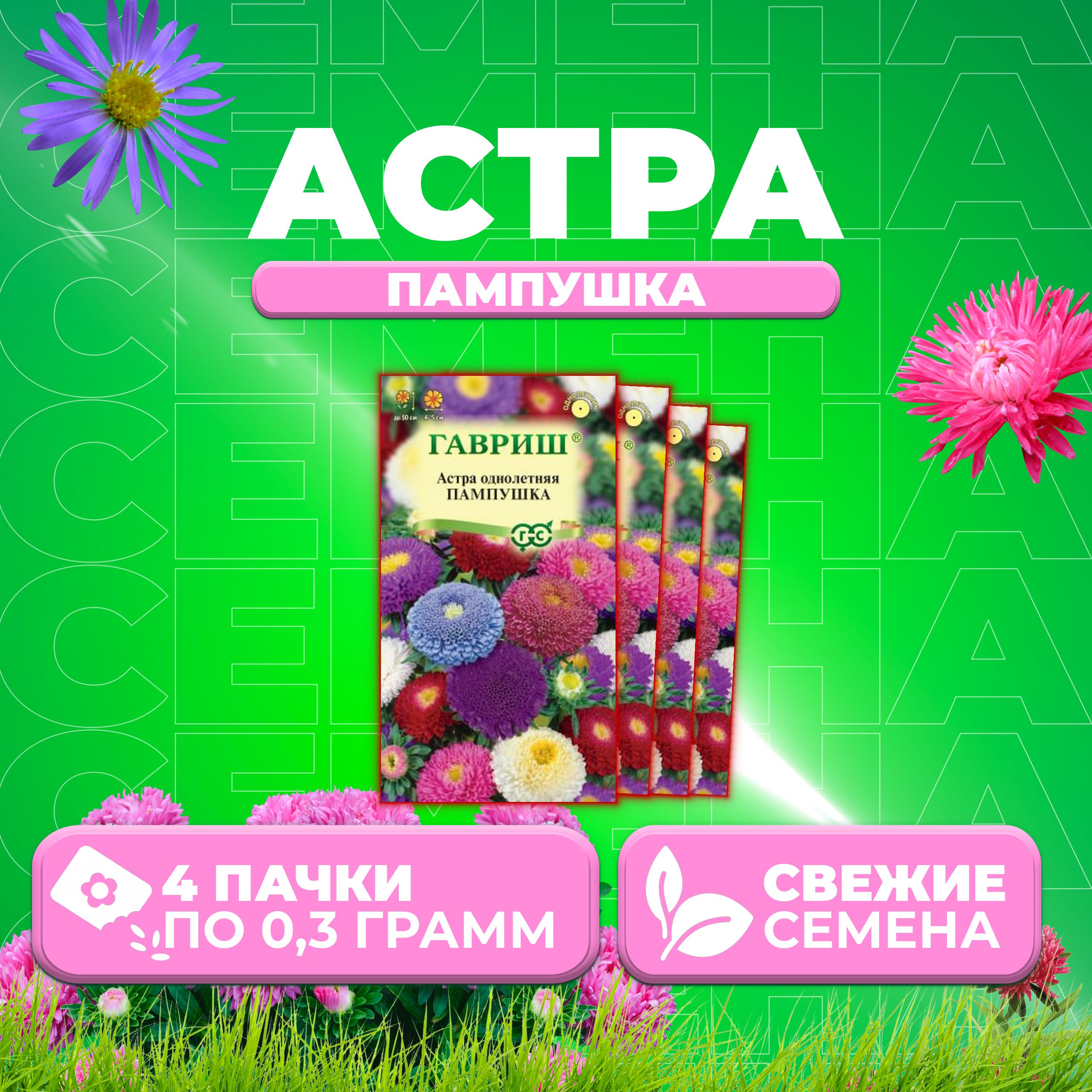 

Семена Астра Пампушка, помпонная, смесь, 0,3г, Гавриш, Цветочная коллекция (4 уп)