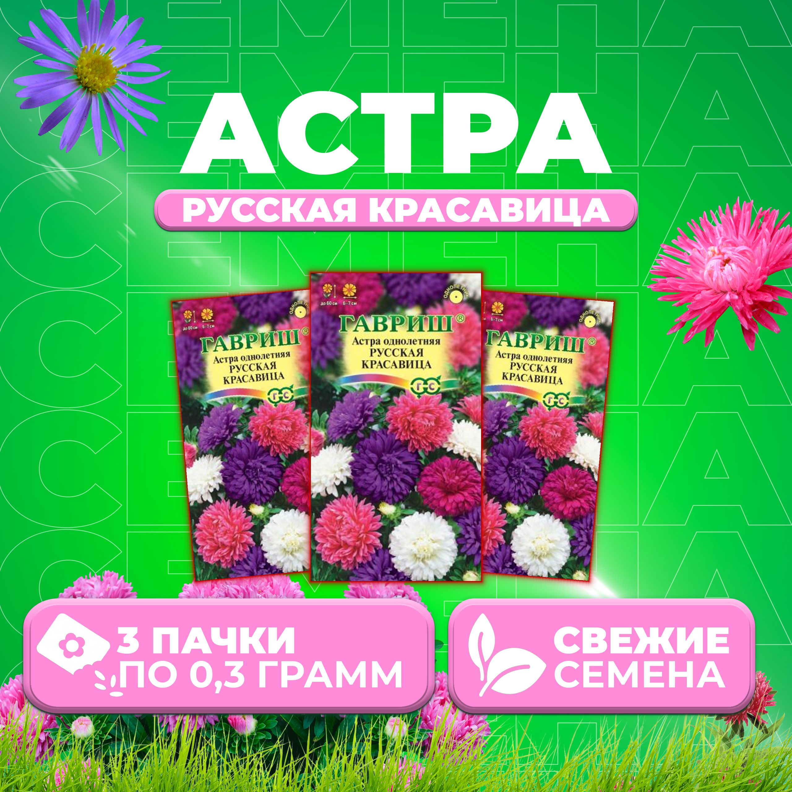 

Семена Астра Русская красавица, смесь, 0,3г, Гавриш, Цветочная коллекция (3 уп)
