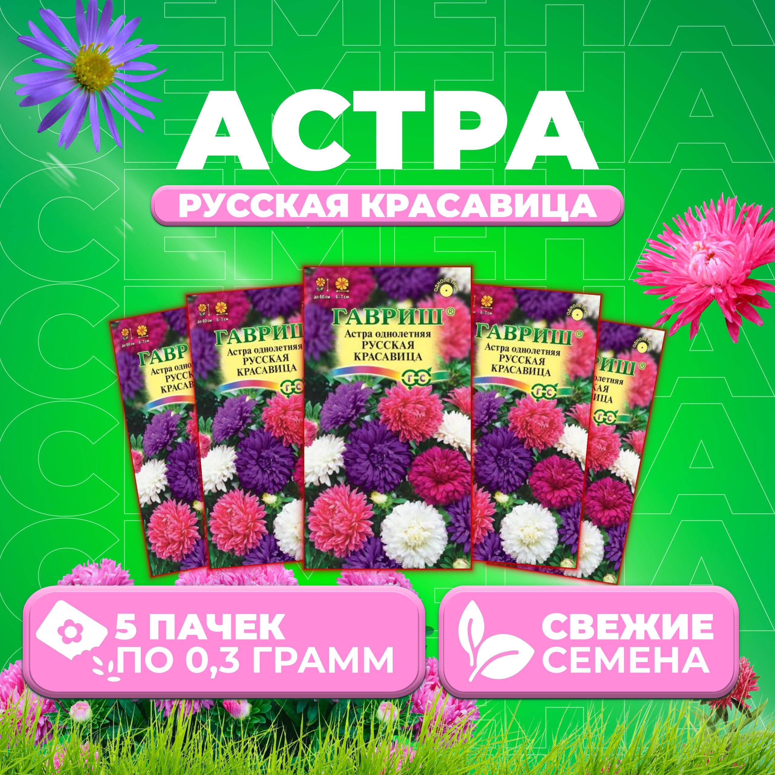 

Семена Астра Русская красавица, смесь, 0,3г, Гавриш, Цветочная коллекция (5 уп)