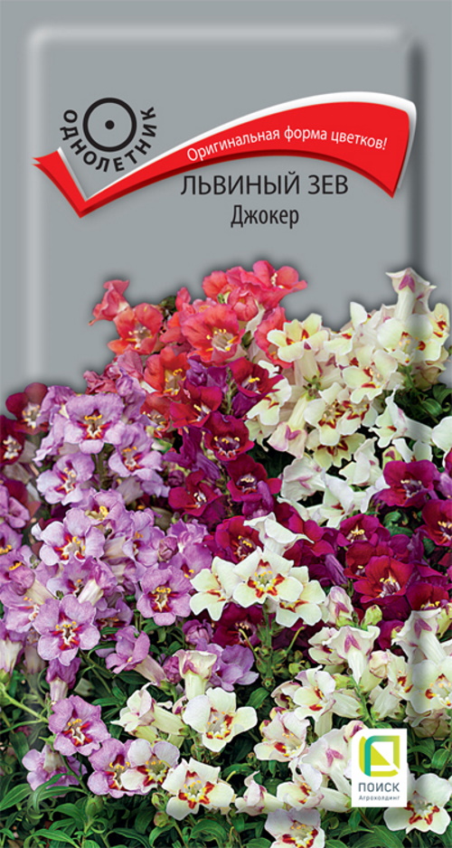 

Семена львиный зев Поиск Джокер 47476 1 уп., Семена Львиный зев Джокер однолетние 0,1 гр.