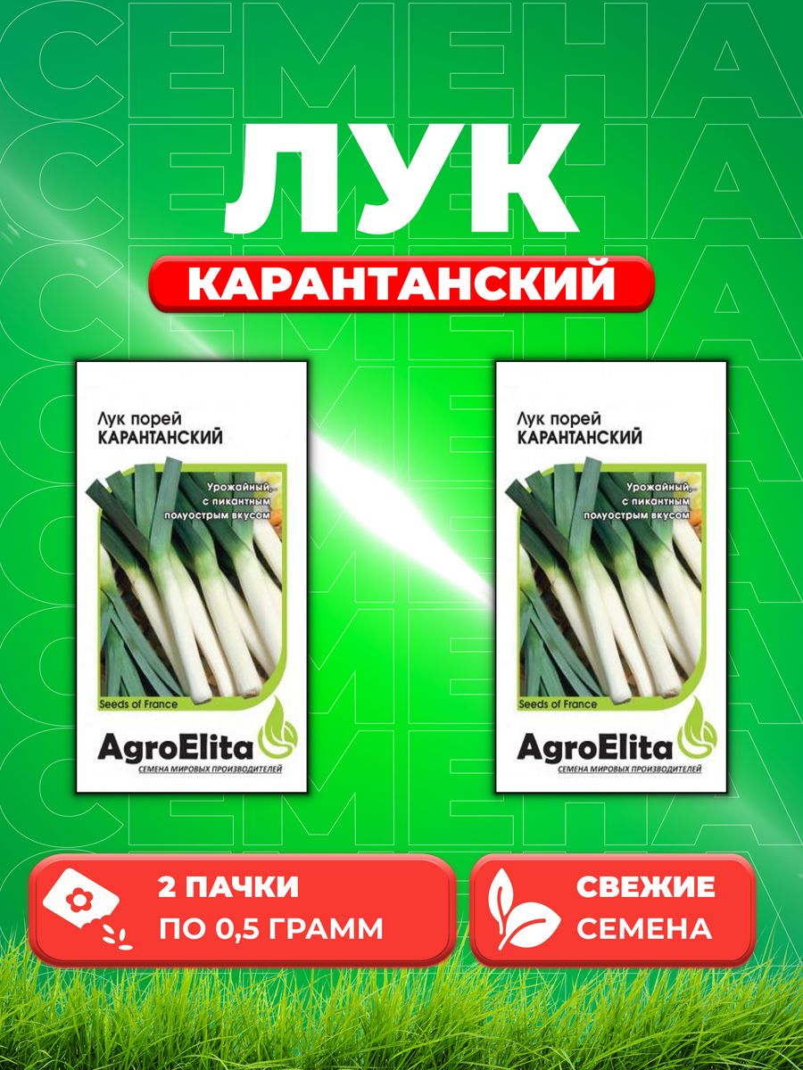 

Семена Лук порей Карантанский, 0,5г, AgroElita(2уп)