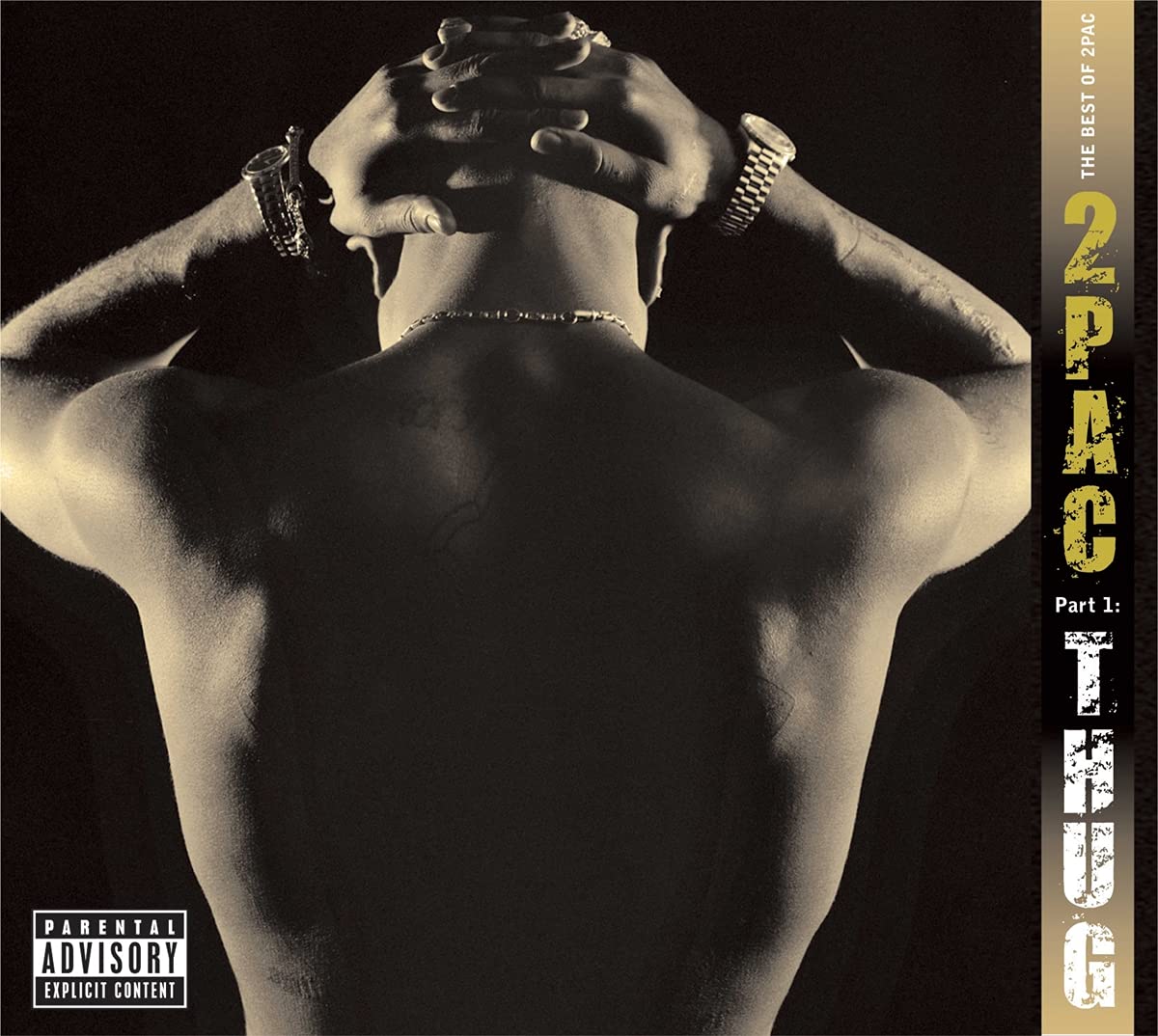 

2Pac The Best Of 2Pac (Pt 1: Thug) (2LP)