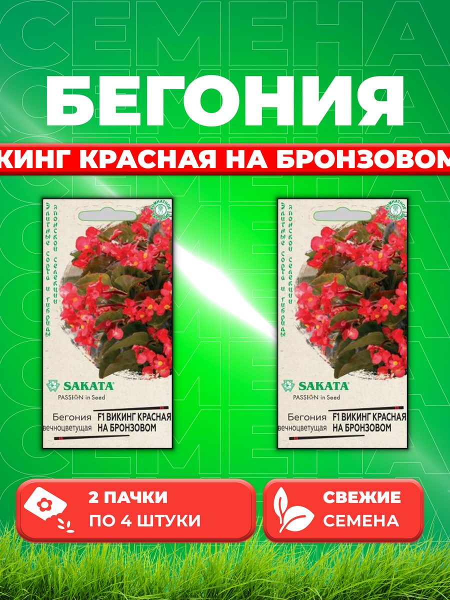 

Семена Бегония Викинг красная на бронзовом F1, гибрид. 4 шт. (2уп)