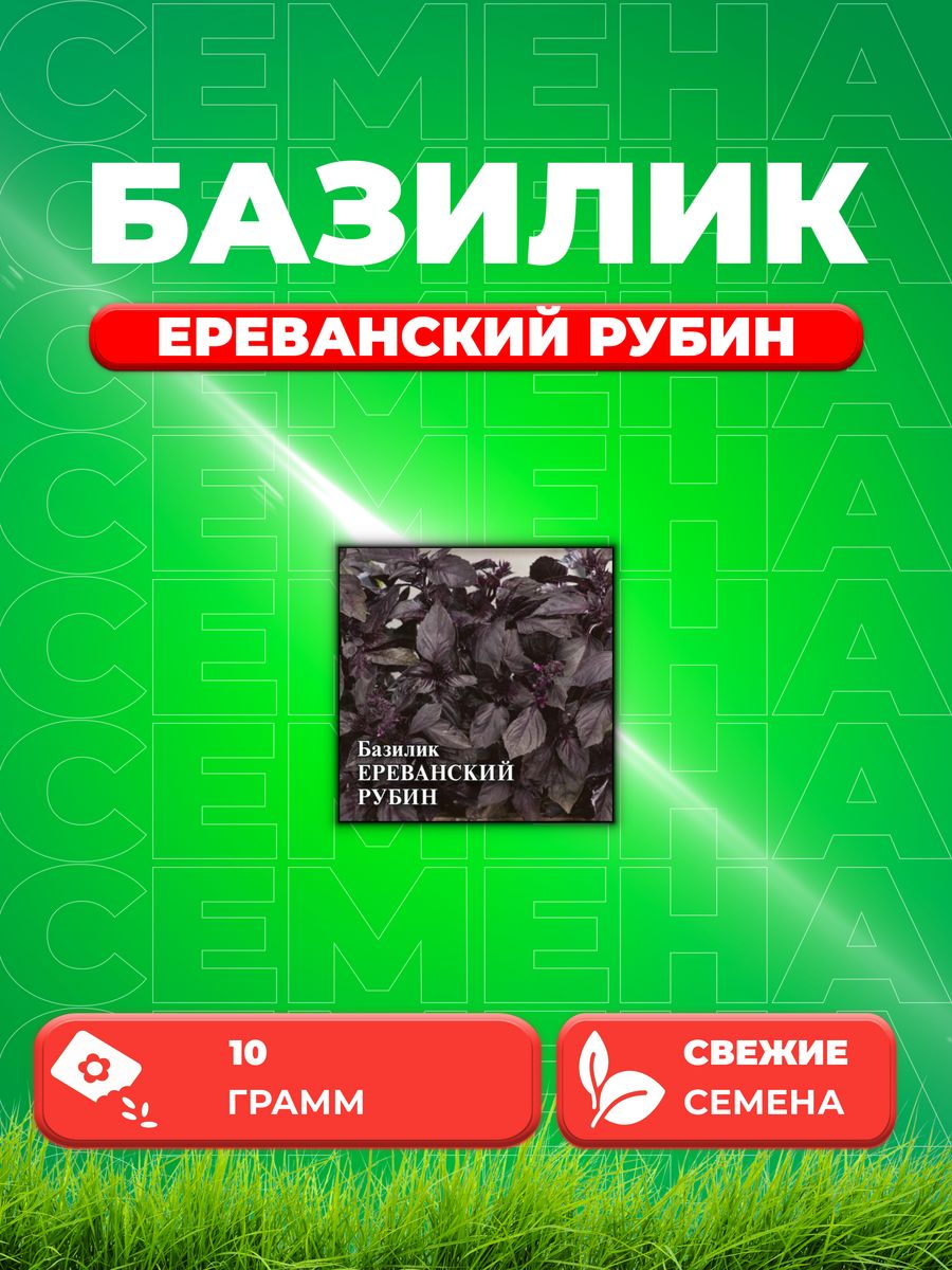 

Семена Семена Базилик Ереванский рубин 10г. Гавриш