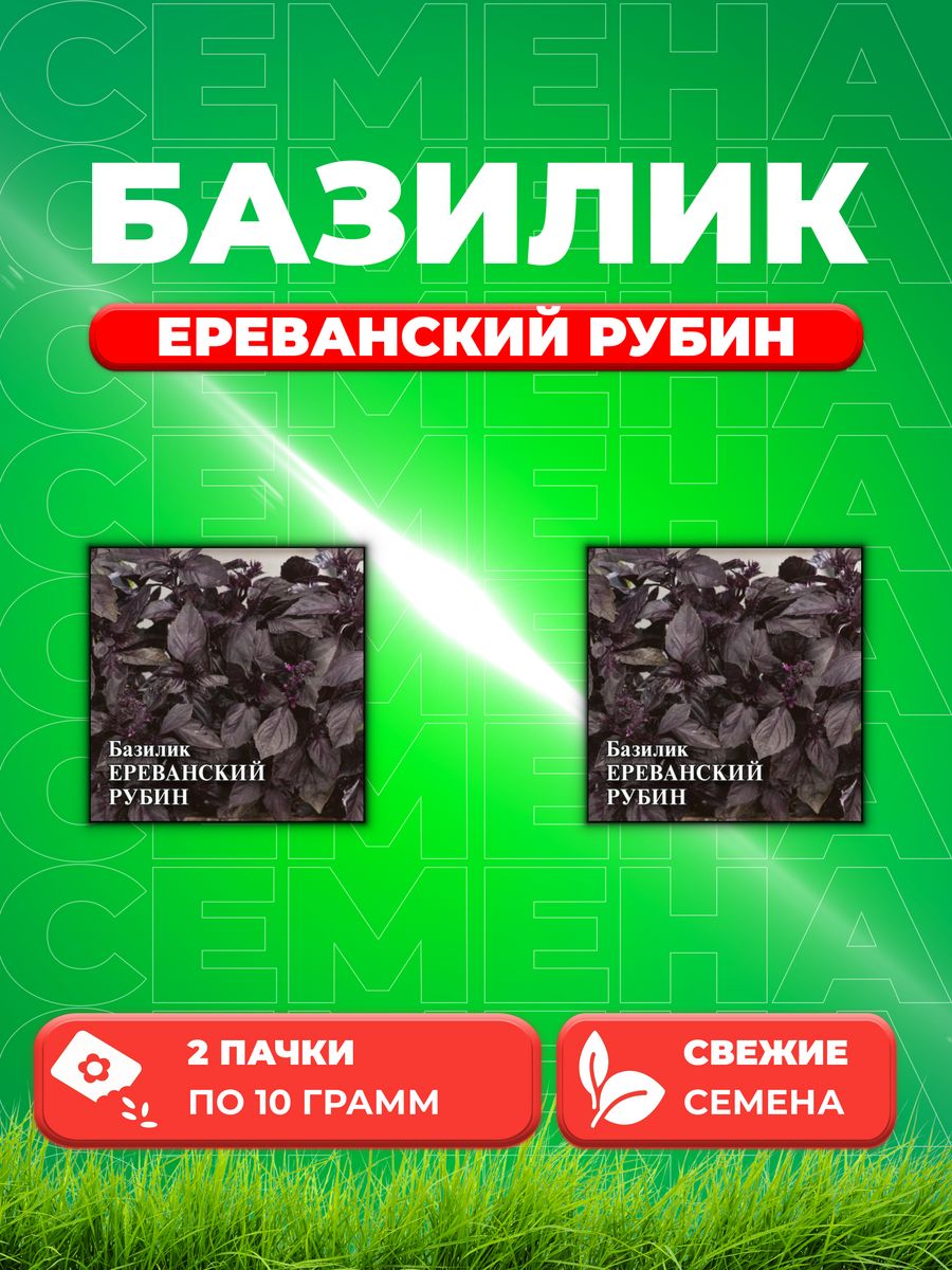 

Семена Семена Базилик Ереванский рубин 10г. Гавриш(2уп)