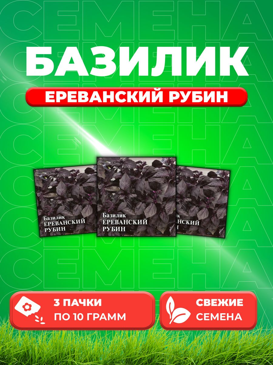 

Семена Семена Базилик Ереванский рубин 10г. Гавриш(3уп)