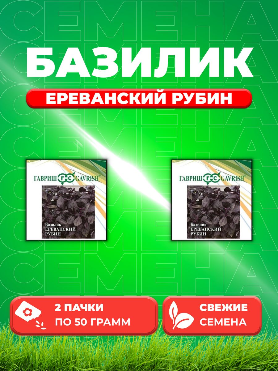 

Семена Семена Базилик Ереванский рубин 50г. Гавриш(2уп)