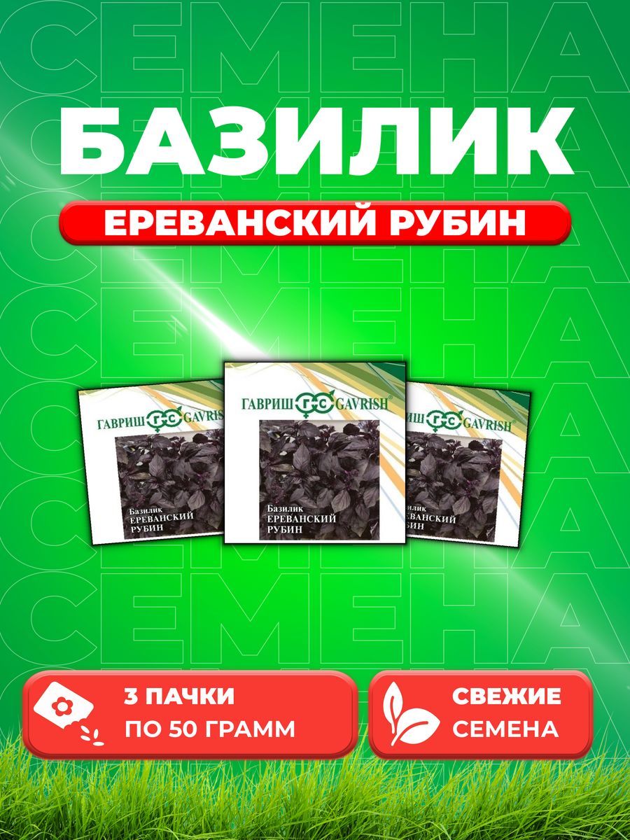 

Семена Семена Базилик Ереванский рубин 50г. Гавриш(3уп)