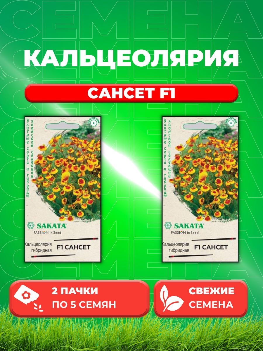 

Семена Кальцеолярия Сансет F1, 5шт, Гавриш, Sakata(2уп)