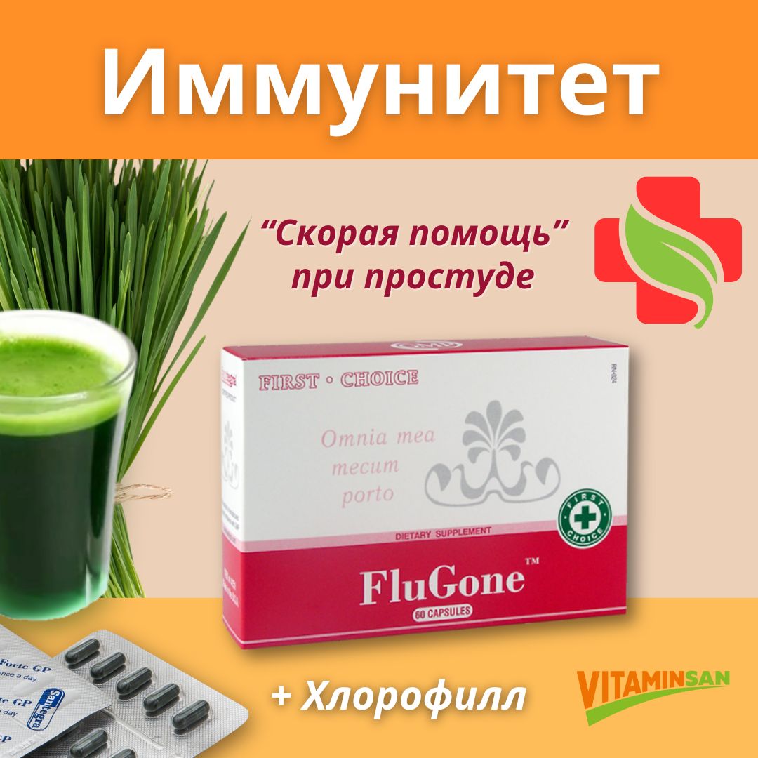 

Пищевая добавка Santegra FluGone 60 капсул