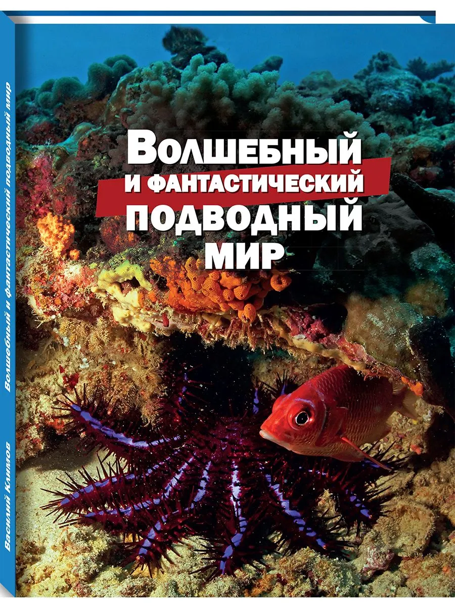 

Волшебный и фантастический подводный мир, ПОЗНАВАТЕЛЬНАЯ, РАЗВИВАЮЩАЯ ЛИТ-РА