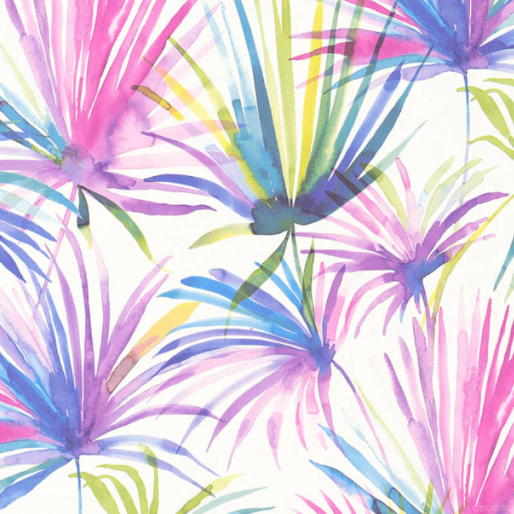 

Обои AS Creation Colibri 36624-3