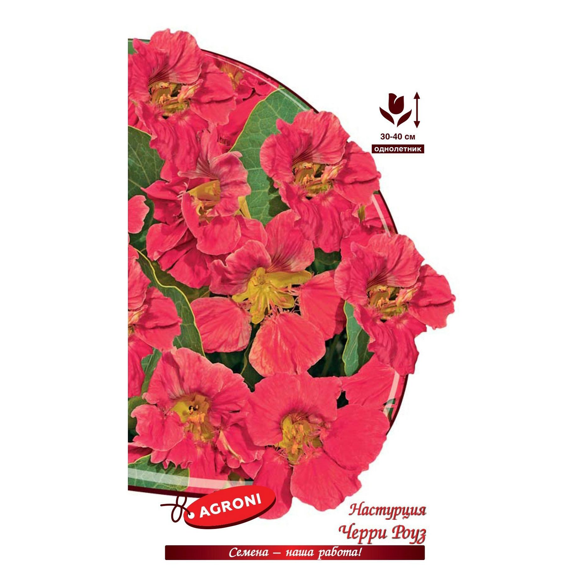 

Семена Agroni Настурция Черри Роуз 2 г