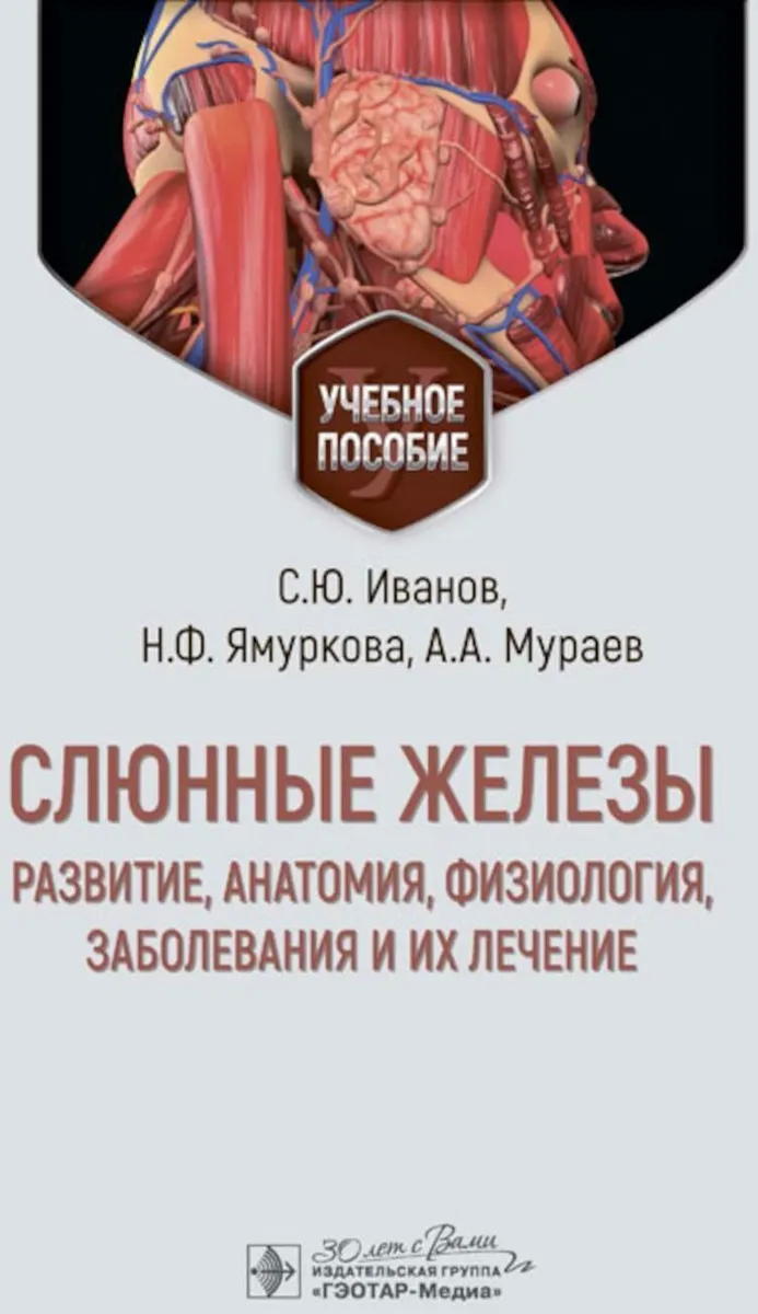 

Слюнные железы: развитие, анатомия, физиология, заболевания и их лечение, ОБРАЗОВАНИЕ И НАУКА