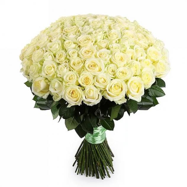 101 белая роза Аваланч 60 см