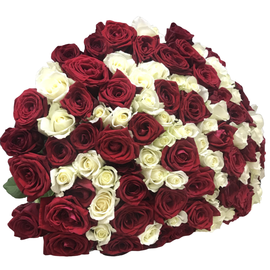 101 роза Ред Наоми и Аваланч 50 см
