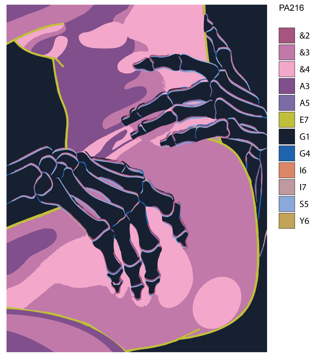 

Картина по номерам, "Живопись по номерам", 75 х 100, PA216, PA216