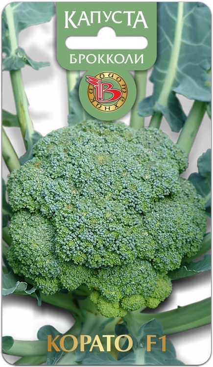 фото Семена овощей брокколи корато f1 биотехника 23685 0,1 г