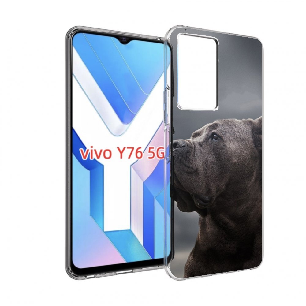 

Чехол MyPads кане корсо для Vivo Y76 5G, Прозрачный, Tocco