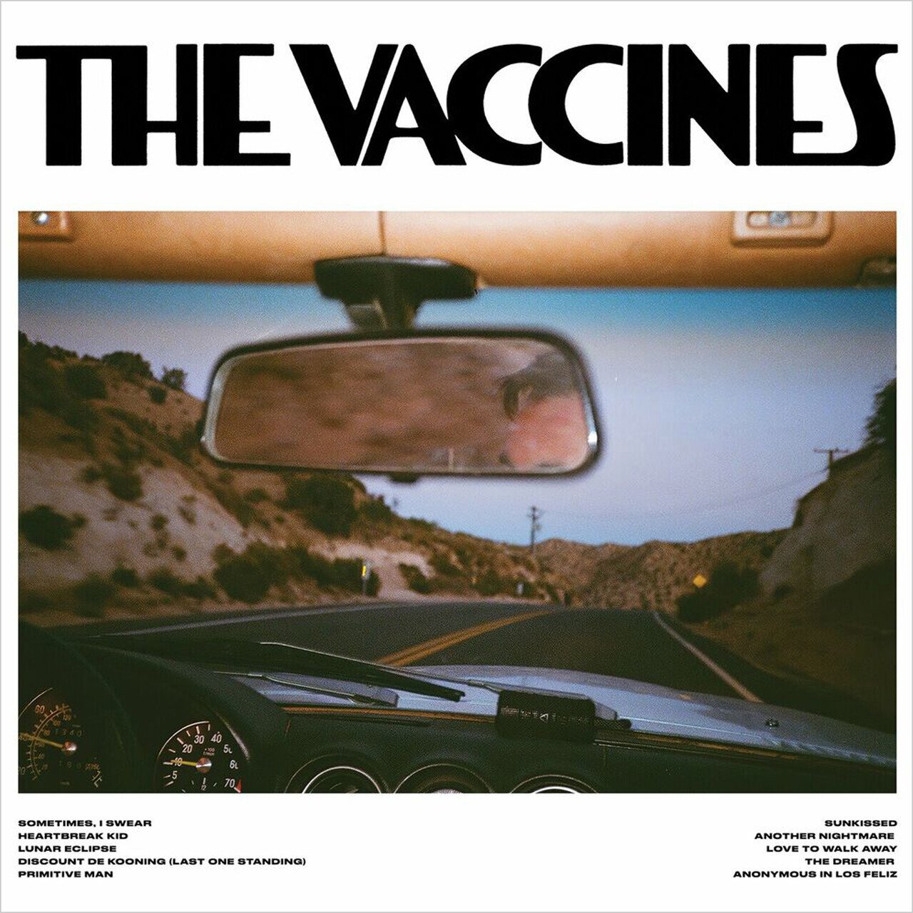 

Vaccines Pick-Up Full Of Pink Carnations (Baby Pink) (LP)