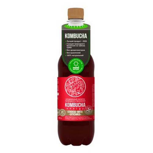 Газированный напиток Kombucha Energy с соком ягод клюквы-брусники и свежей мяты 0,5 л