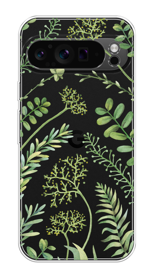 

Чехол на Google Pixel 9 Pro "Green Leaves", Зеленый;прозрачный, 272050-1