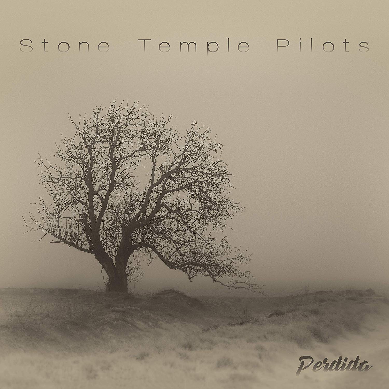 

Stone Temple Pilots Perdida