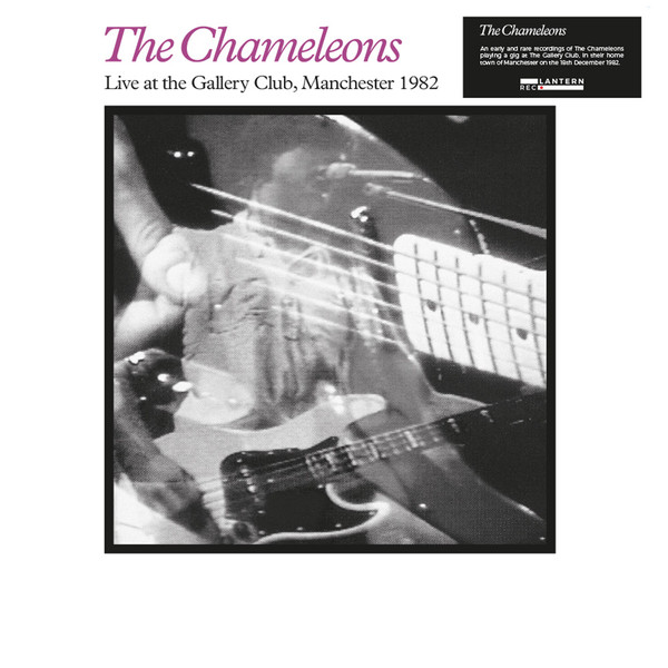 

Chameleons Live At The Gallery Club Manchester 1982