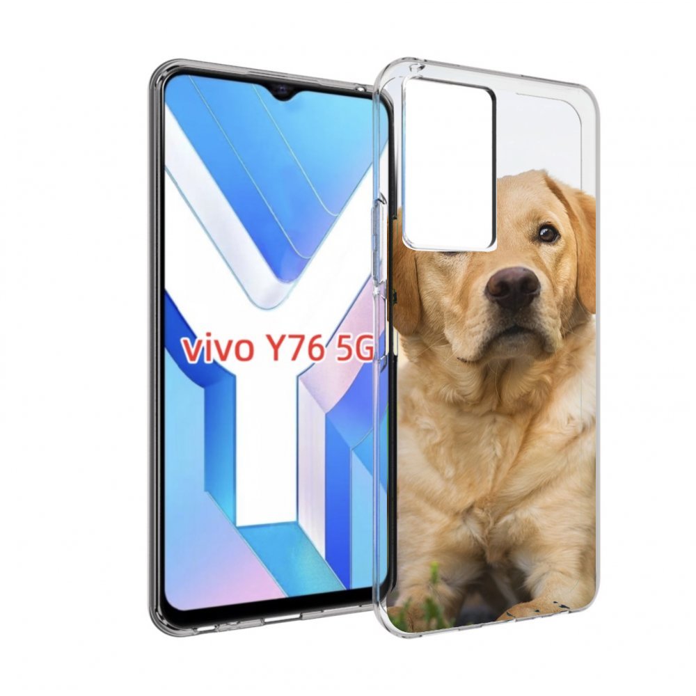 

Чехол MyPads лабрадор ретривер для Vivo Y76 5G, Прозрачный, Tocco