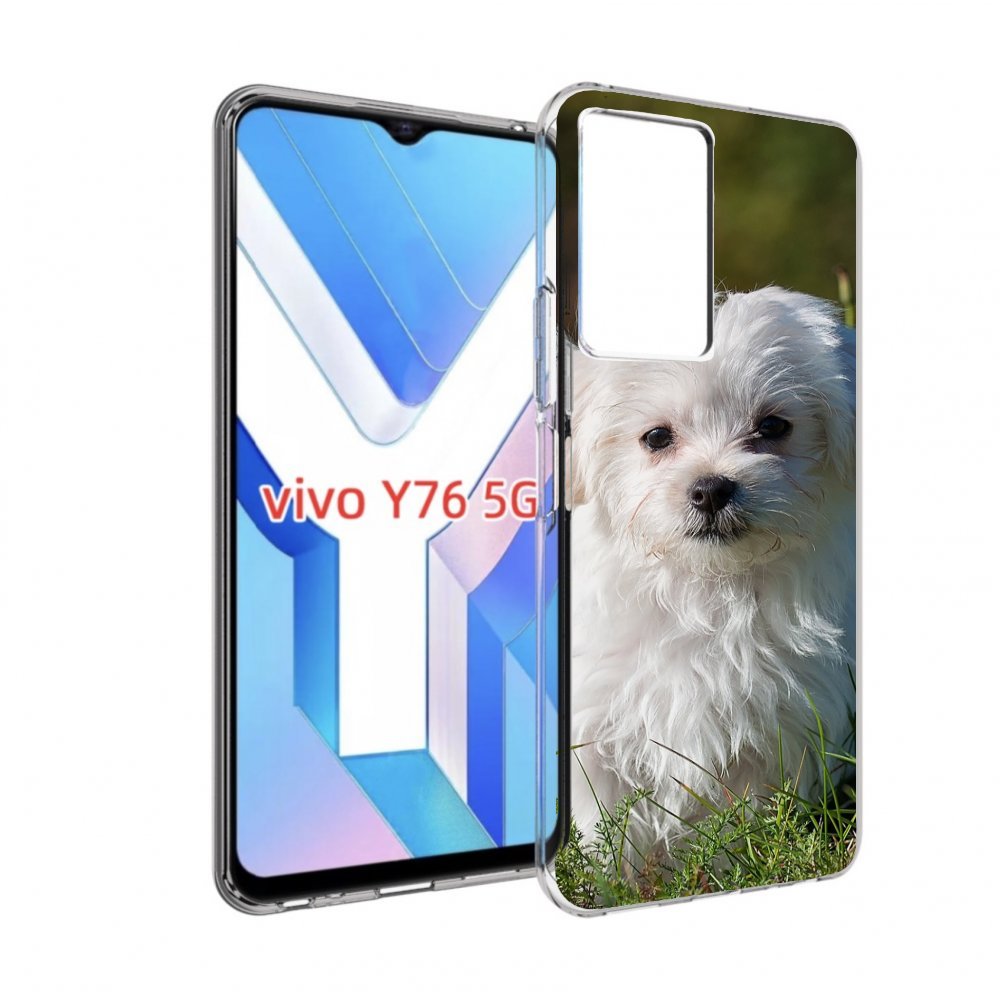 

Чехол MyPads мальтииская-болонка для Vivo Y76 5G, Прозрачный, Tocco