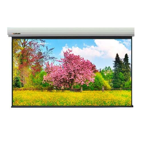 фото Экран для проектора lumien master large control lmlc-100114