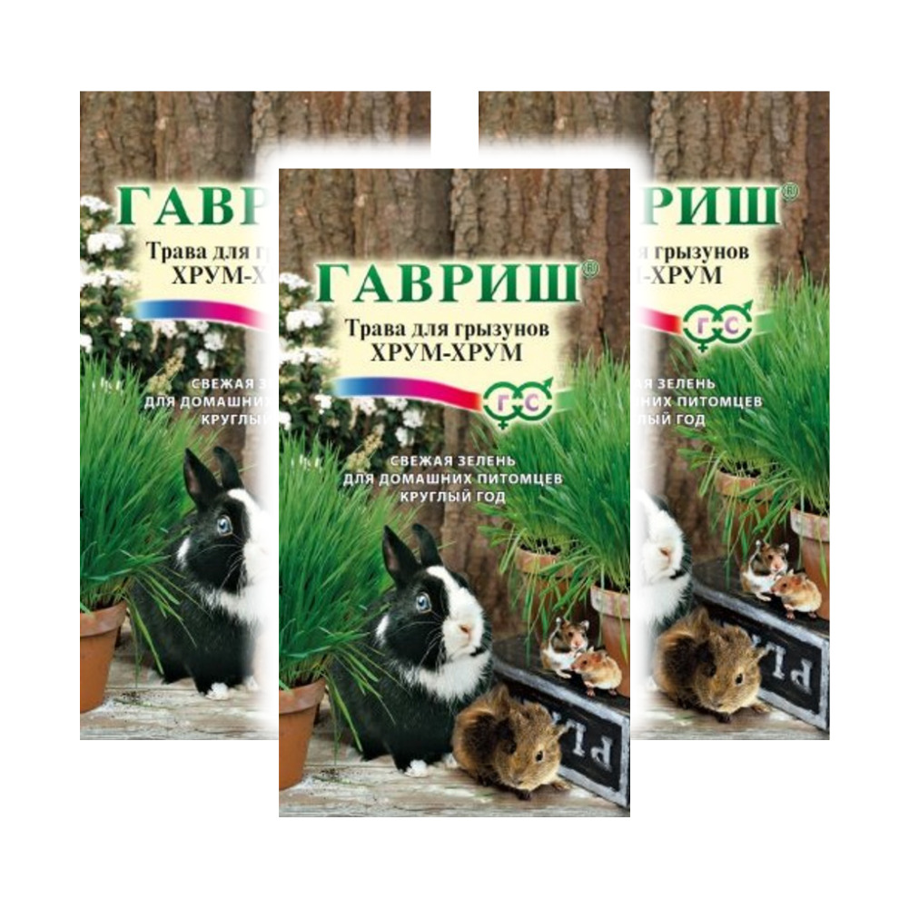 

Комплект семян Гавриш трава для грызунов Хрум-хрум 3 упаковки, Комплект семян Трава для грызунов Хрум-хрум х 3 шт.