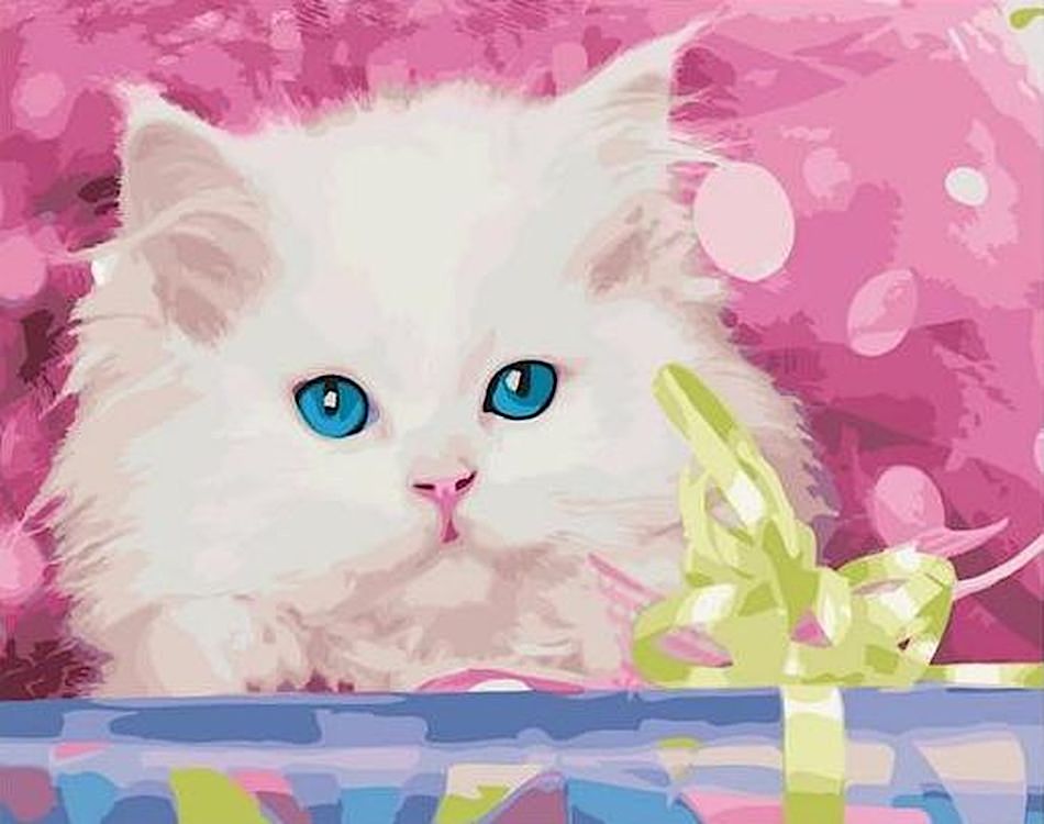

Картина по номерам Paintboy (Premium) Котик в подарок