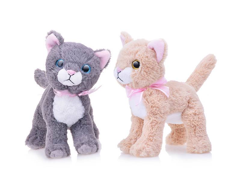 

Oubaoloon Кошка, Кошка