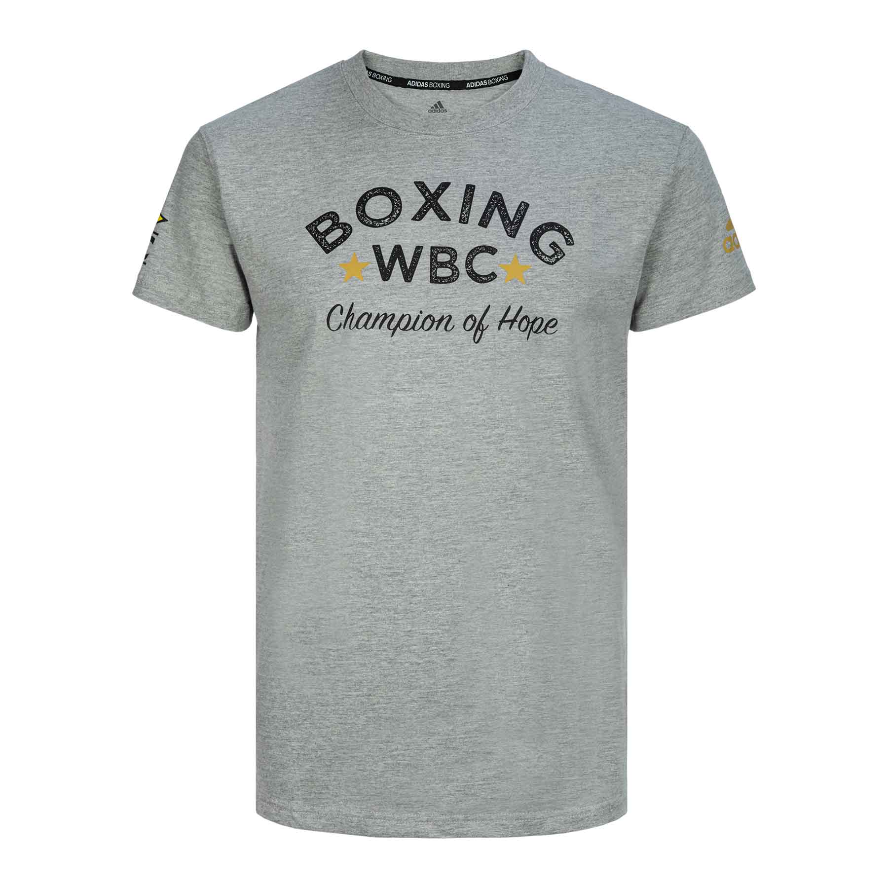 Футболка Boxing Tee WBC Champion Of Hope серая (размер M)