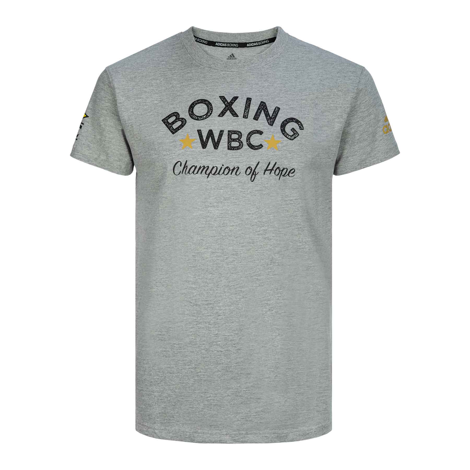 Футболка Boxing Tee WBC Champion Of Hope серая (размер S)