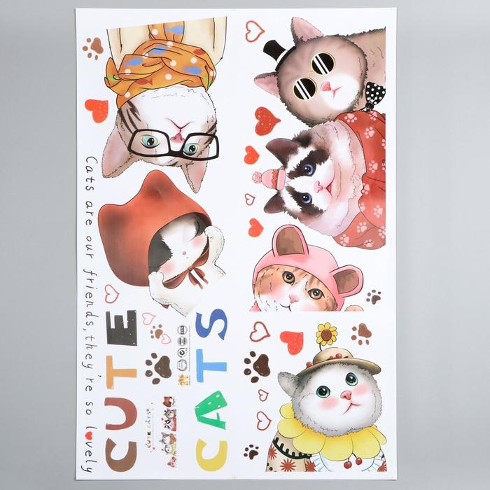 

пластик, Милые кошки, 60х90 см