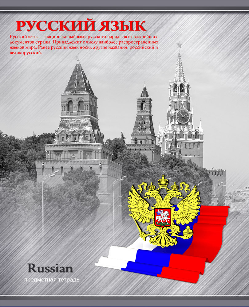 

Тетрадь "Яркий акцент. Русский язык", А5, 48 листов, линия
