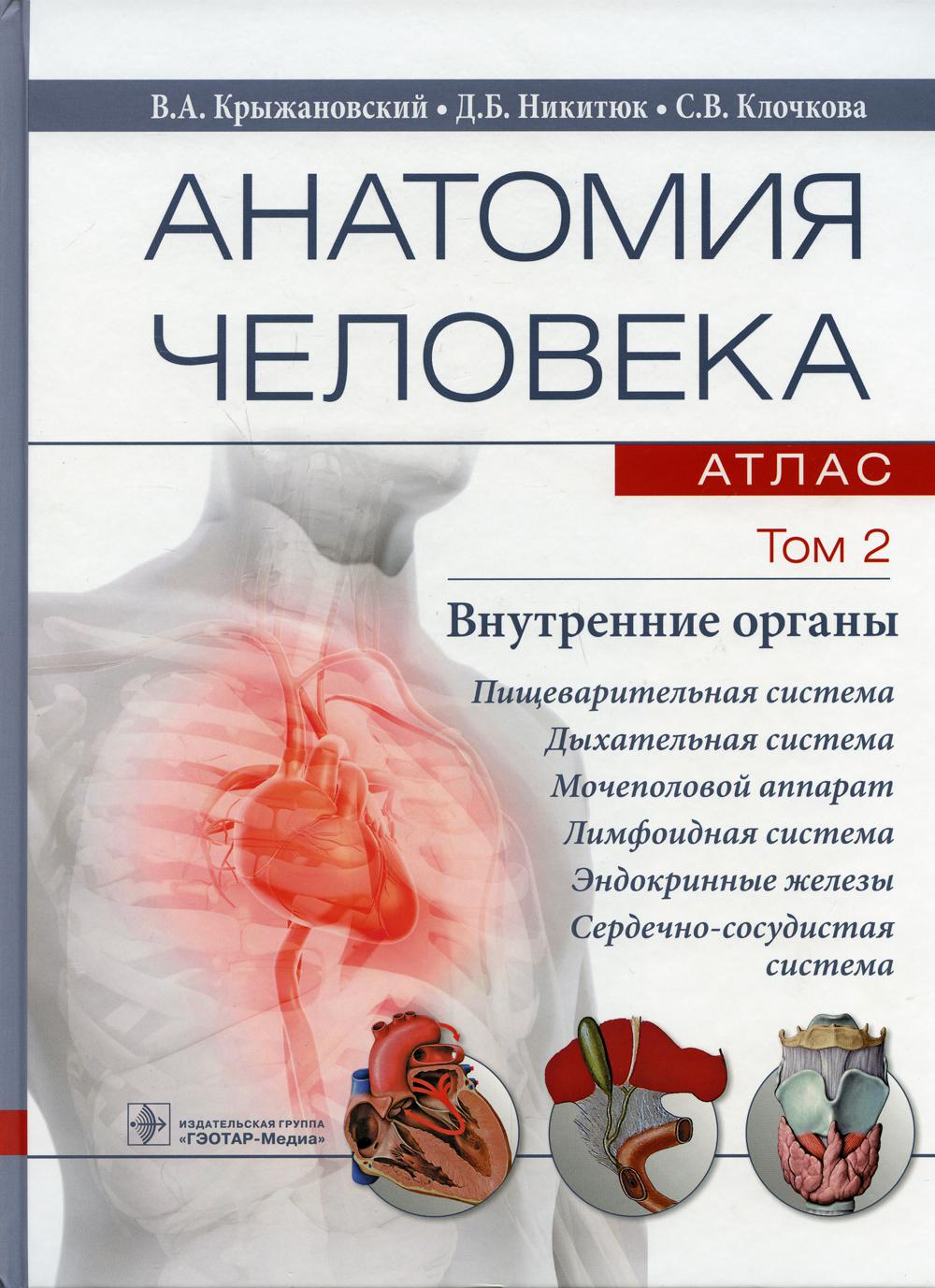 фото Книга анатомия человека: атлас: учебное пособие: в 3 т. т. 2: внутренние органы гэотар-медиа