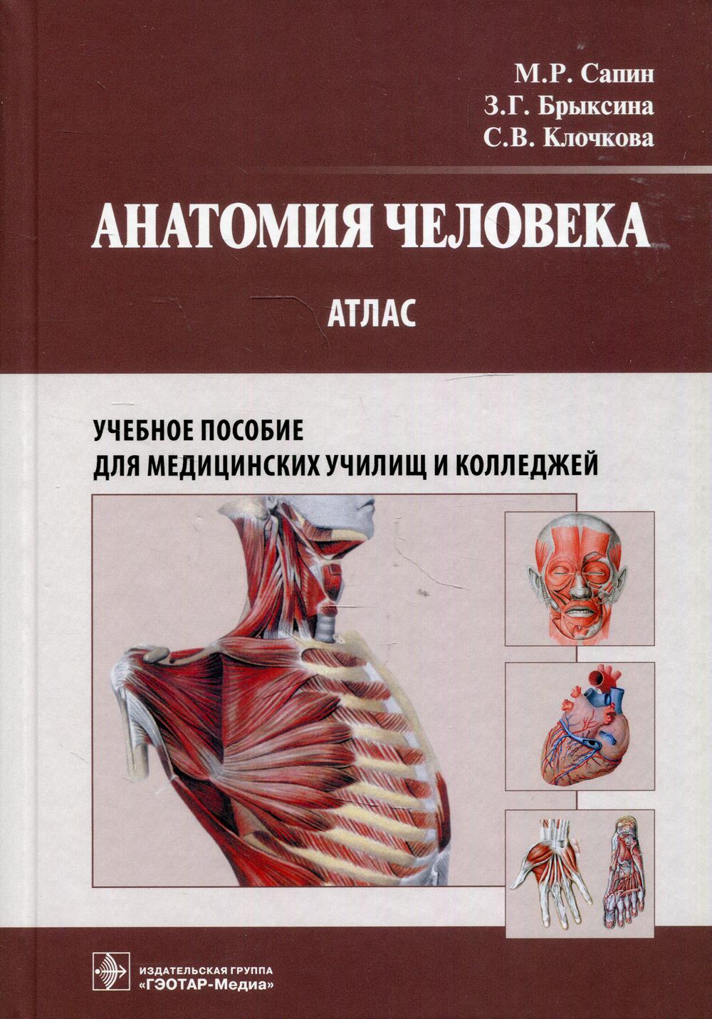 Медицинский атлас по анатомии человека в картинках