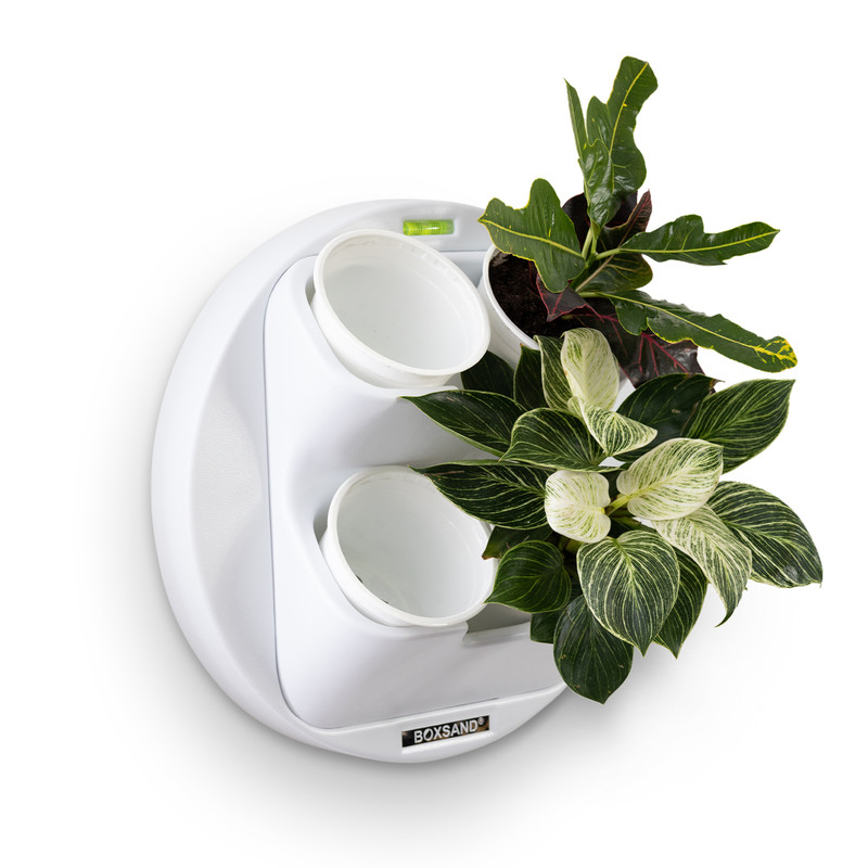 

Экостена BOXSAND Ring с горшками 4001WG 1 шт. белый, Ring