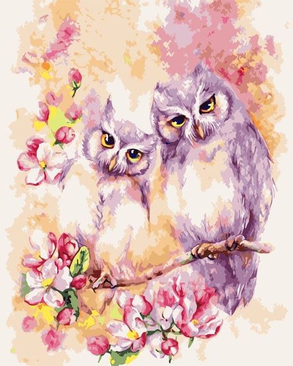 

Картина по номерам Paintboy (Premium) Розовые совы, Розовые совы