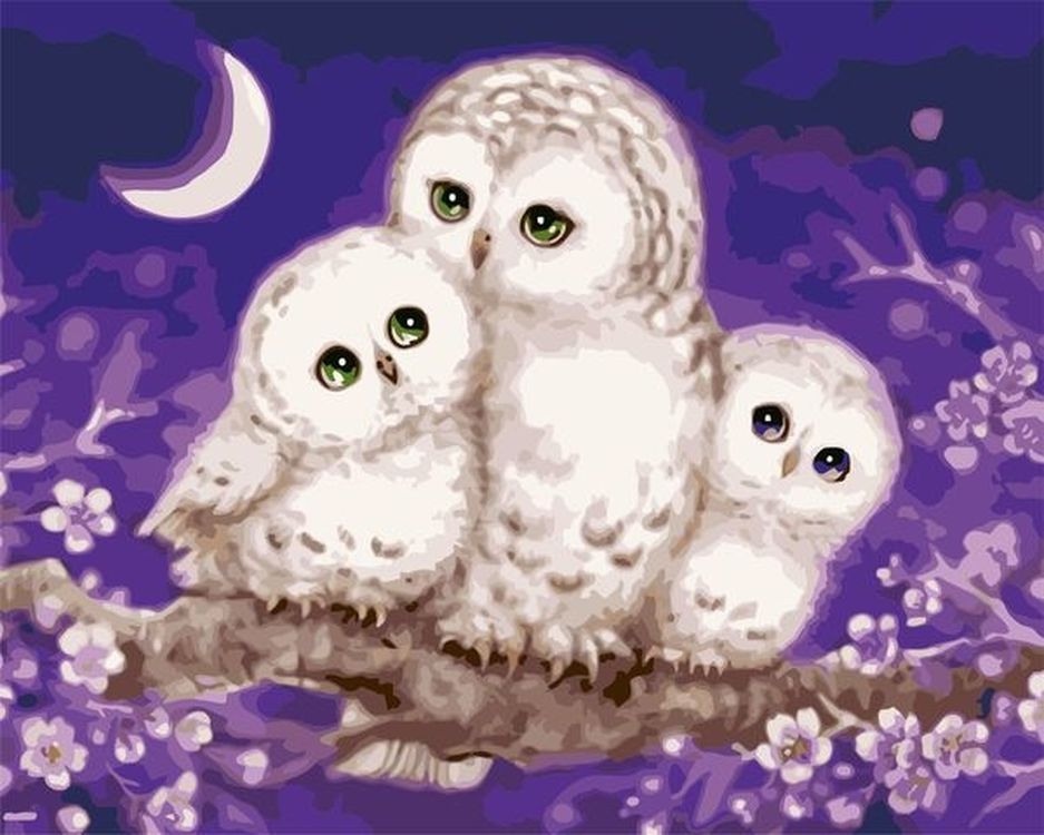 

Картина по номерам Paintboy (Premium) Сова с совятами, Сова с совятами
