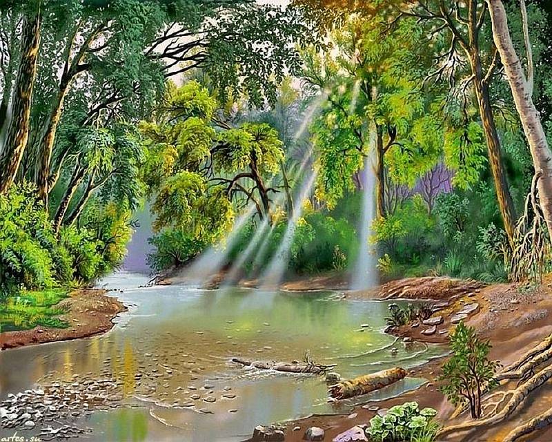 

Картина по номерам Paintboy (Premium) Свет в лесу, Свет в лесу