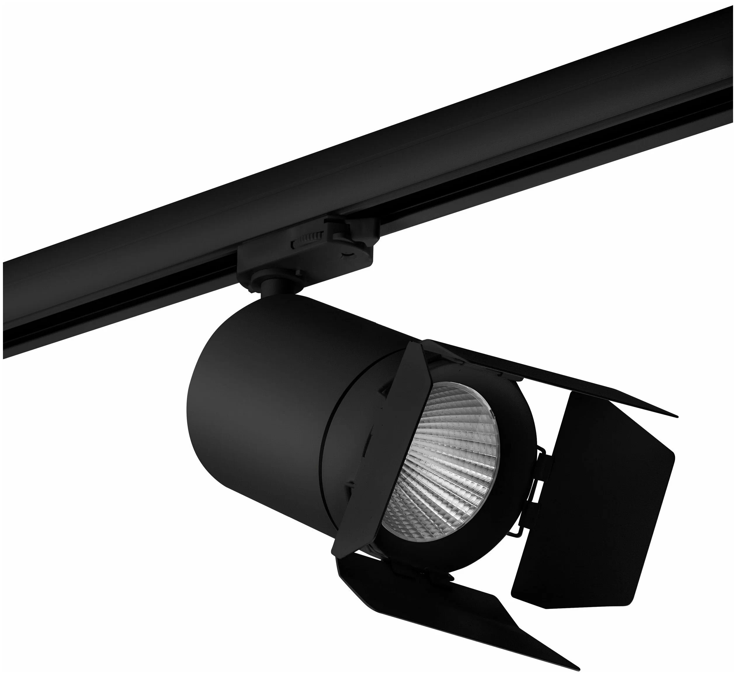 

Светильник на штанге Lightstar Canno C357497