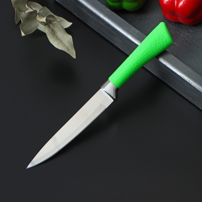 

Нож кухонный Рич, лезвие 12,5 см, цвет зеленый